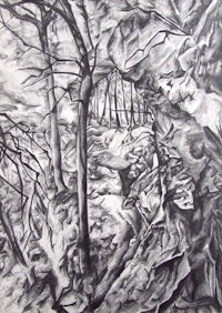 a black and white drawing of a wooded area